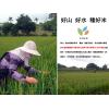 米棧野生種紫米1公斤1入
